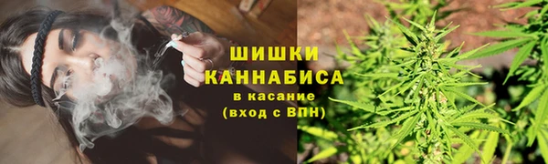 дживик Баксан
