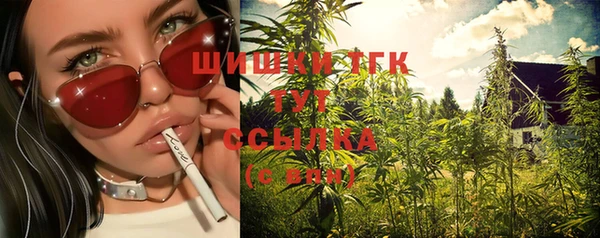 соль ск Балахна