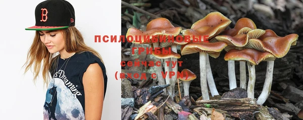 кокаин премиум Белокуриха