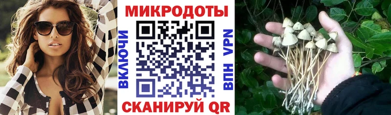 Галлюциногенные грибы Cubensis Новоалтайск